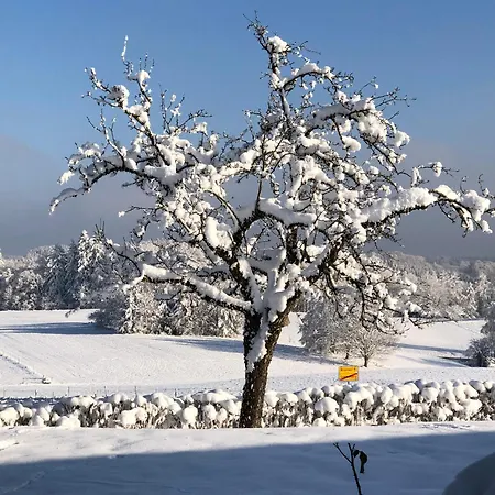דירה Aubach פרסדורף
